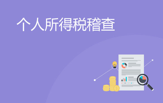 个人所得税稽查中的程序规定与应对技巧