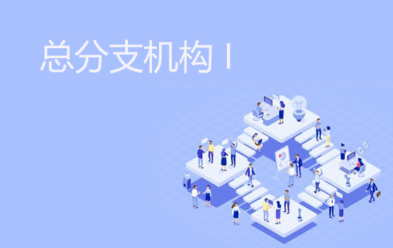 总分机构税务热点问题 I