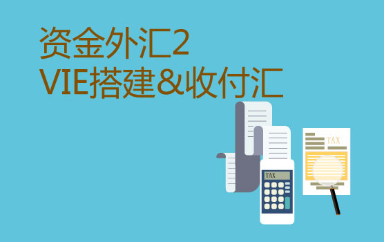 资金外汇管理之新浪他们都在用的VIE结构是个啥？