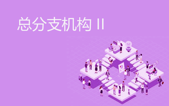 总分机构税务热点问题 II