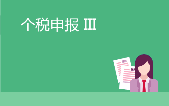 个人所得税申报表精析 III