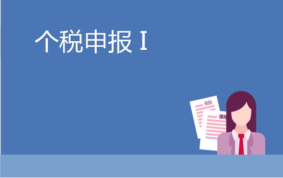 个人所得税申报表精析 I