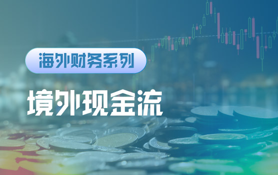 【迷你课】《跨境资金池与境外现金流规划实操指南》（下篇）