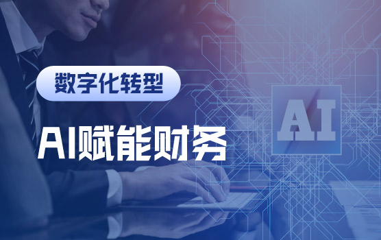 AI重构财务力：DeepSeek智能决策全场景实战应用Ⅱ