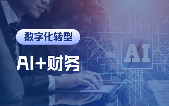 AI大模型在财务领域的应用