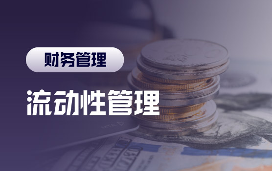 优化现金脉搏：企业流动性风险预警与高效应对