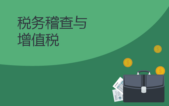 税务稽查中常见的增值税纳税问题
