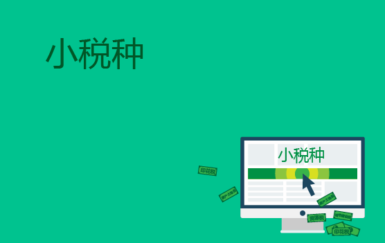 小税种概览