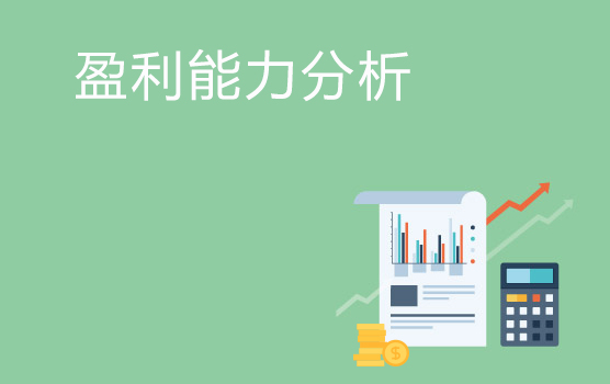 企业盈利能力分析实务