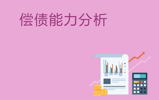 企业偿债能力分析实务