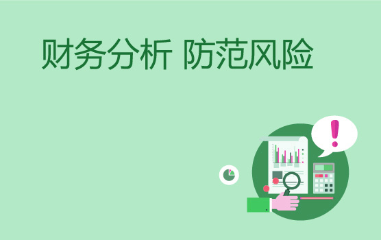 财务分析与风险防范的基本体系与方法