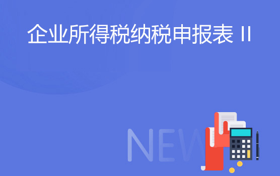 最新企业所得税年度纳税申报表指引 II