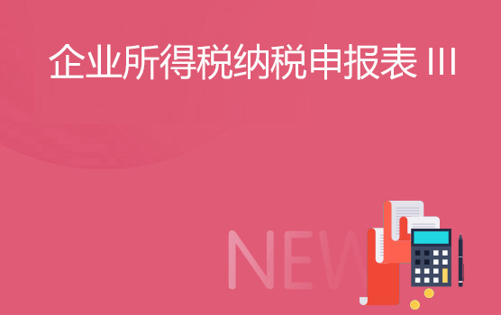 最新企业所得税年度纳税申报表指引 III