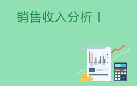 销售收入分析技巧 I