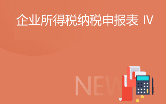 最新企业所得税年度纳税申报表指引 IV
