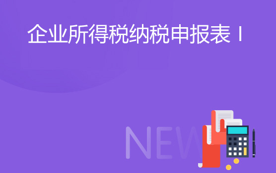 最新企业所得税年度纳税申报表指引 I