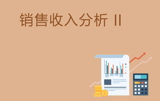 销售收入分析技巧 II