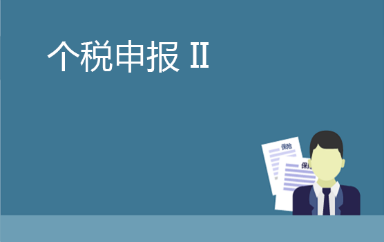 个人所得税申报实务及填报规则 II
